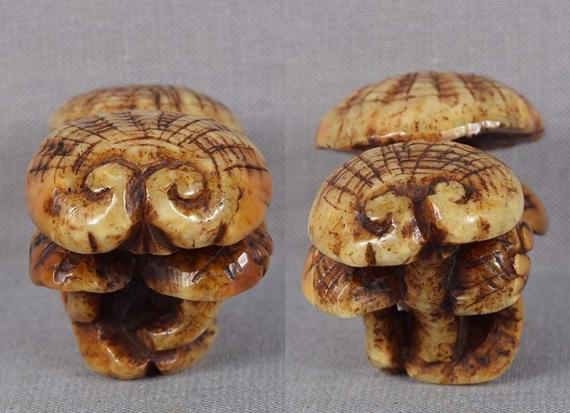 19c marine netsuke Asakusa school FUNGUS OF IMMORTALITY - 4