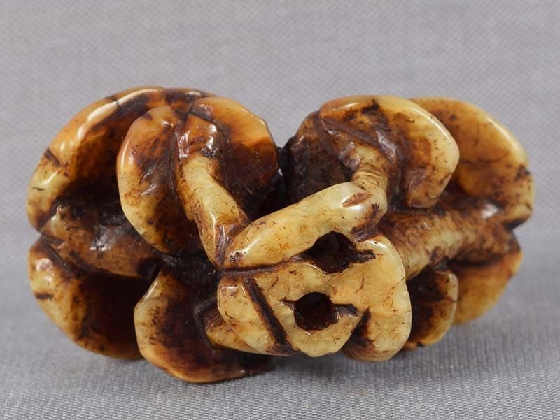 19c marine netsuke Asakusa school FUNGUS OF IMMORTALITY - 5