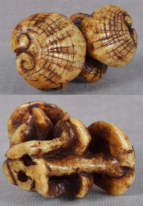 19c marine netsuke Asakusa school FUNGUS OF IMMORTALITY - 6