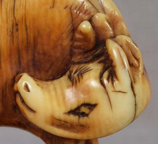 Early 19c netsuke STYLIZED BUFFALO - 5