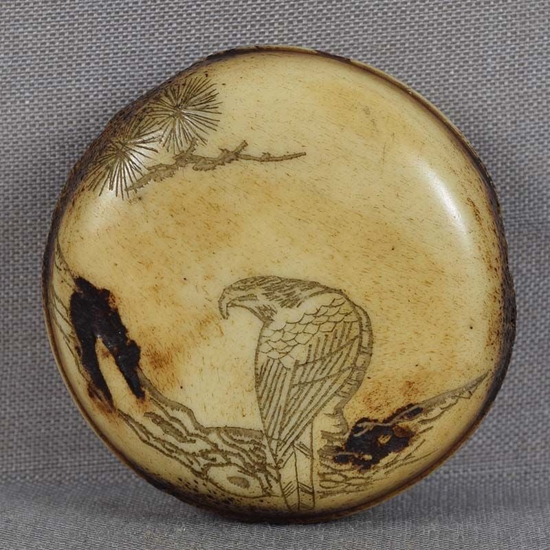 19c Asakusa netsuke FALCON on pine branch (1 of 5)