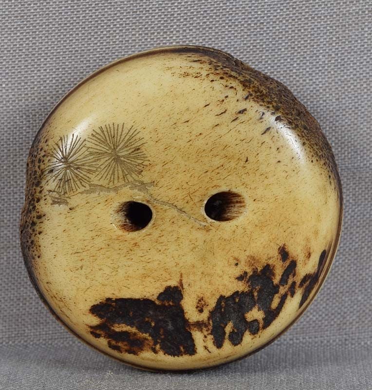19c Asakusa netsuke FALCON on pine branch - 2