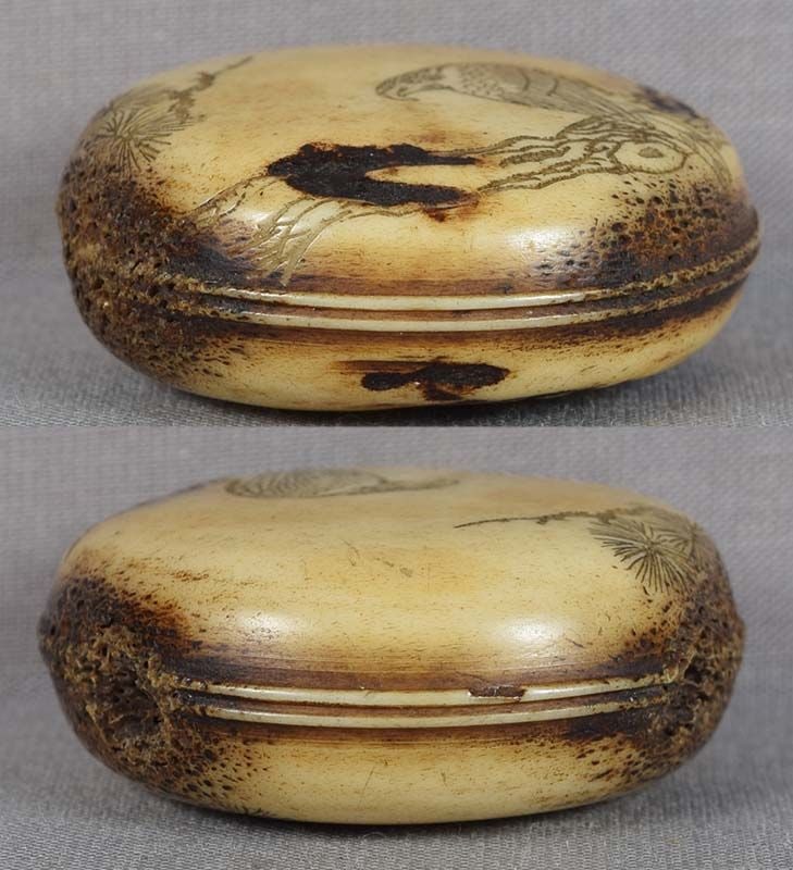 19c Asakusa netsuke FALCON on pine branch - 3