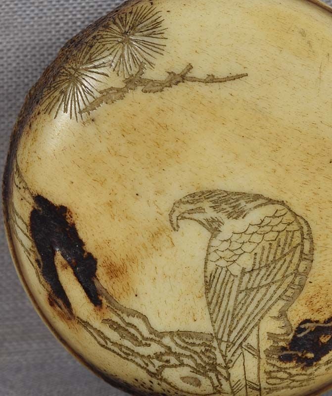 19c Asakusa netsuke FALCON on pine branch - 4