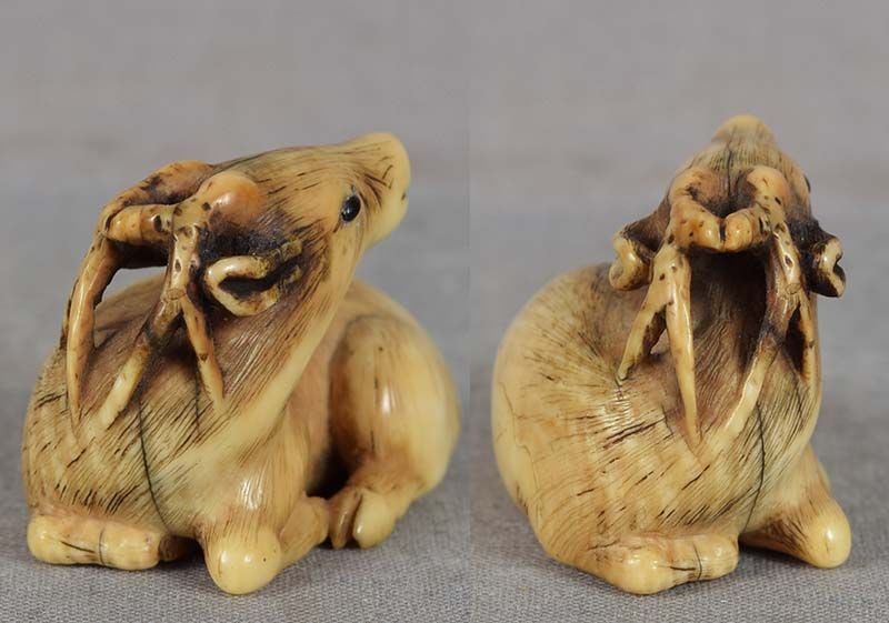 19c netsuke resting DEER by RANICHI - 2