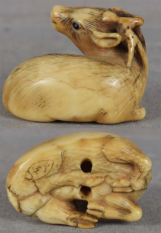 19c netsuke resting DEER by RANICHI - 3