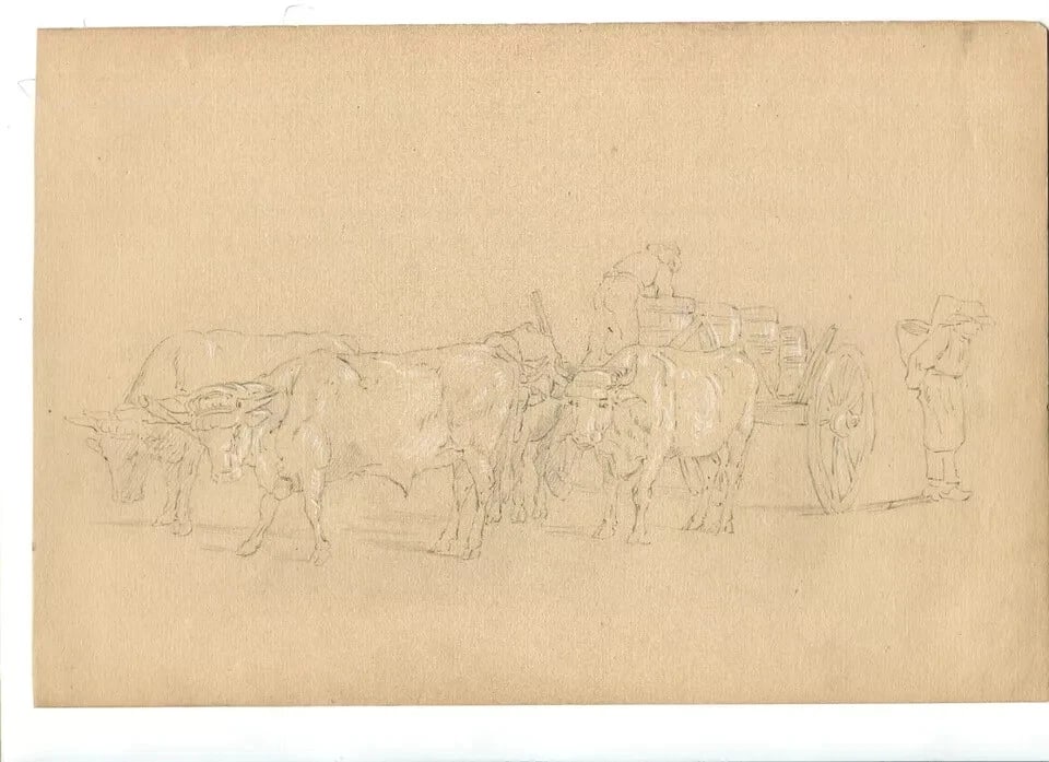 French Pencil Drawing Bulls, Men, Plow, Working Life Antique - 2