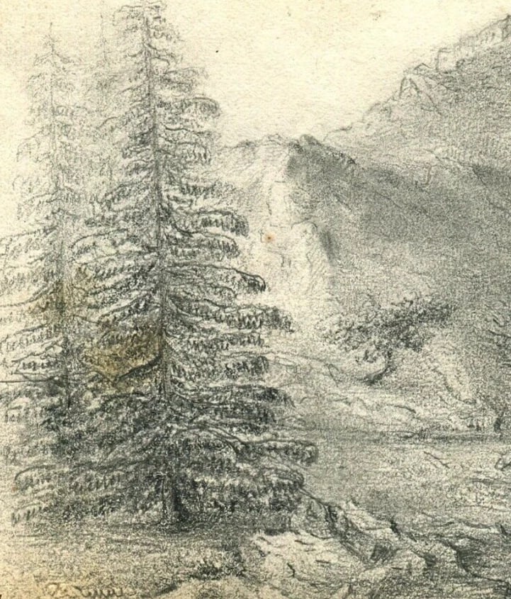 Antique Pencil Drawing 19th century Original Mountain Landscape, Firs, Forest - 3