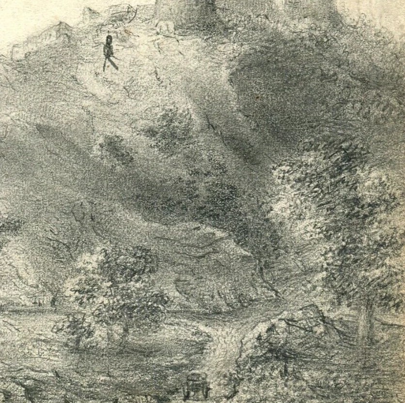 Antique Pencil Drawing 19th century Original Mountain Landscape, Firs, Forest - 4