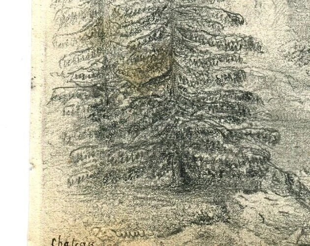 Antique Pencil Drawing 19th century Original Mountain Landscape, Firs, Forest - 5