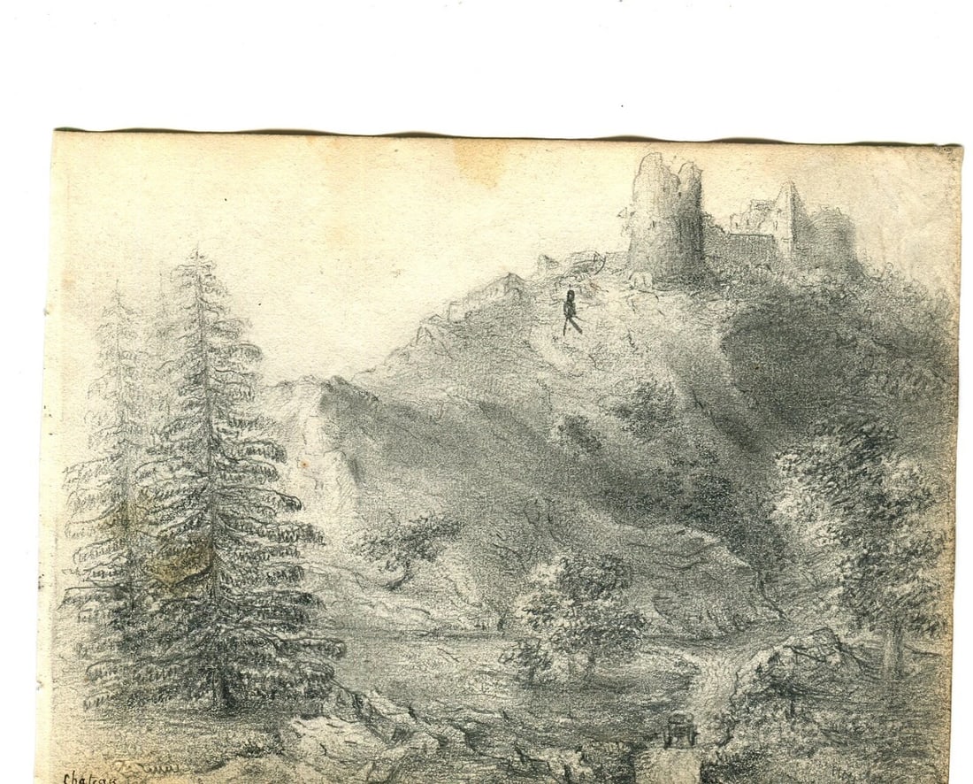 Antique Pencil Drawing 19th century Original Mountain Landscape, Firs, Forest - 6