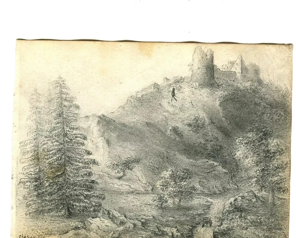 Antique Pencil Drawing 19th century Original Mountain Landscape, Firs, Forest - 7