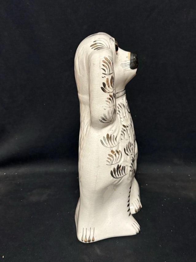 Staffordshire Spaniel Dog - 2