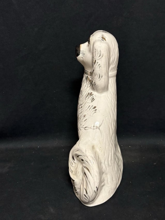 Staffordshire Spaniel Dog - 4