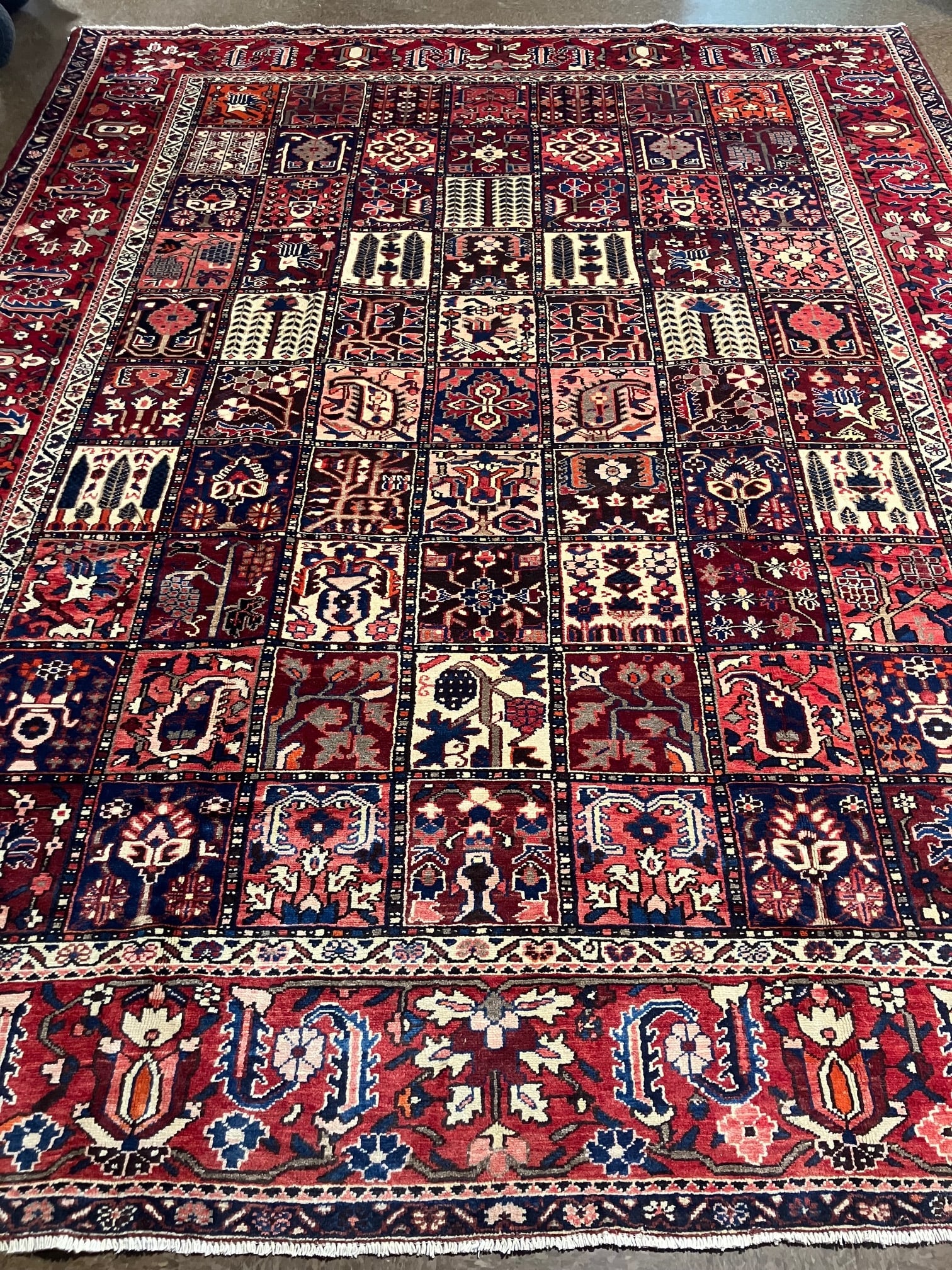Bakhtiar 9.10x12.6 (1 of 8)