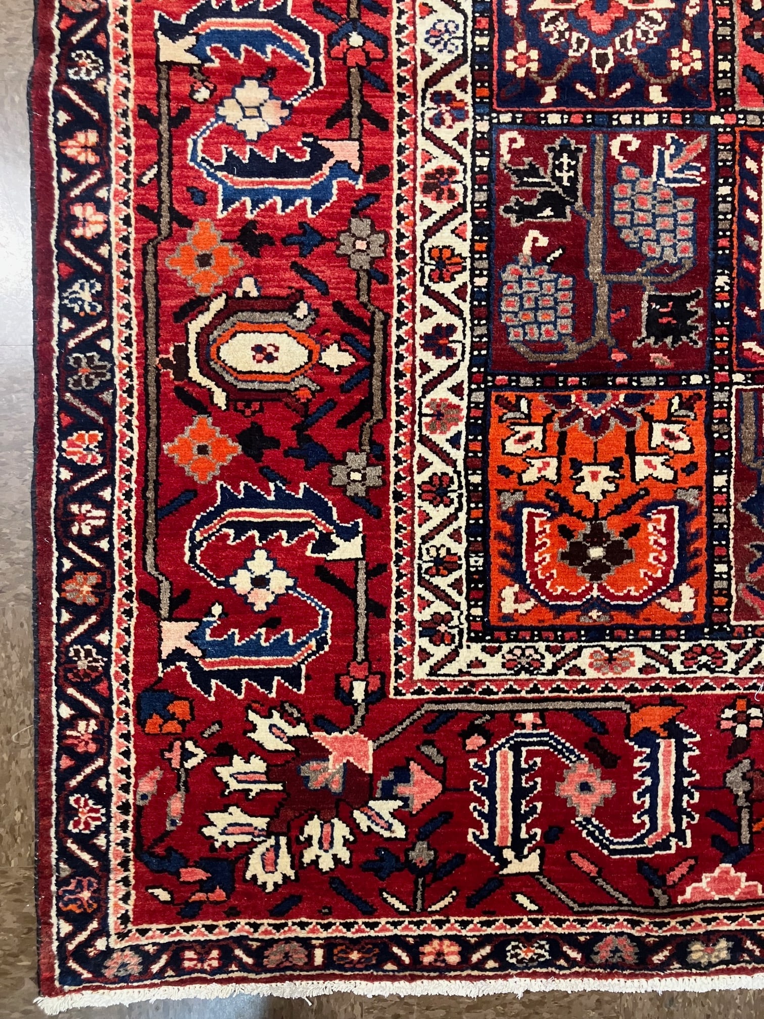 Bakhtiar 9.10x12.6 - 2