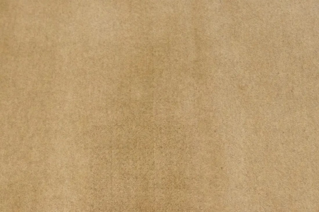 Beige and Brown Tribal 5X8 Lori Gabbeh Oriental Rug - 7