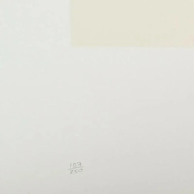 Michael McMillien "Flight to Mars" 11 Color Silkscreen Print Limited Edition 165 of 250 Signed - 2