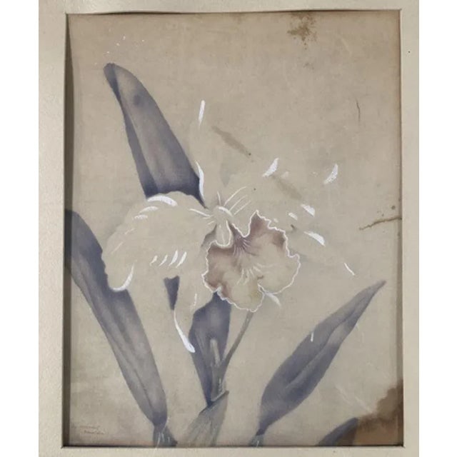 1940s Post War White Orchid Airbrush Painting on Paper by Tip Freeman, Framed - 2