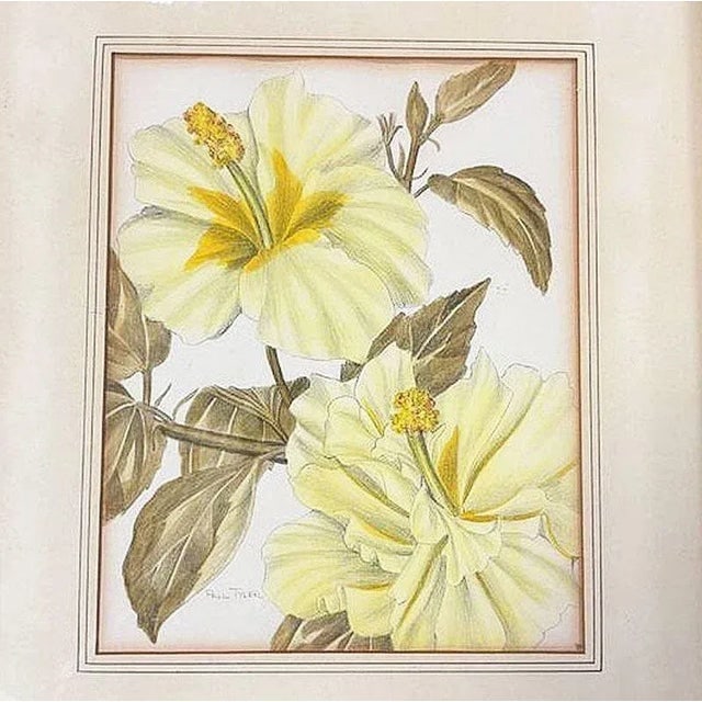 Mid-Century Hawaiian Framed Hibiscus Water Color Floral on Paper by Paul Tyler - 2