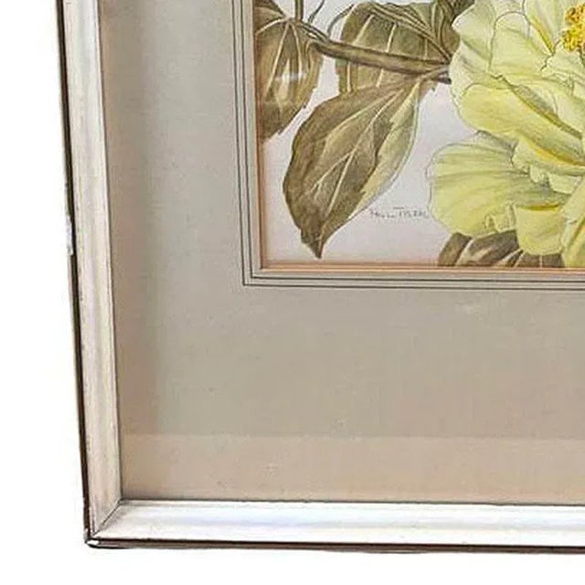 Mid-Century Hawaiian Framed Hibiscus Water Color Floral on Paper by Paul Tyler - 3