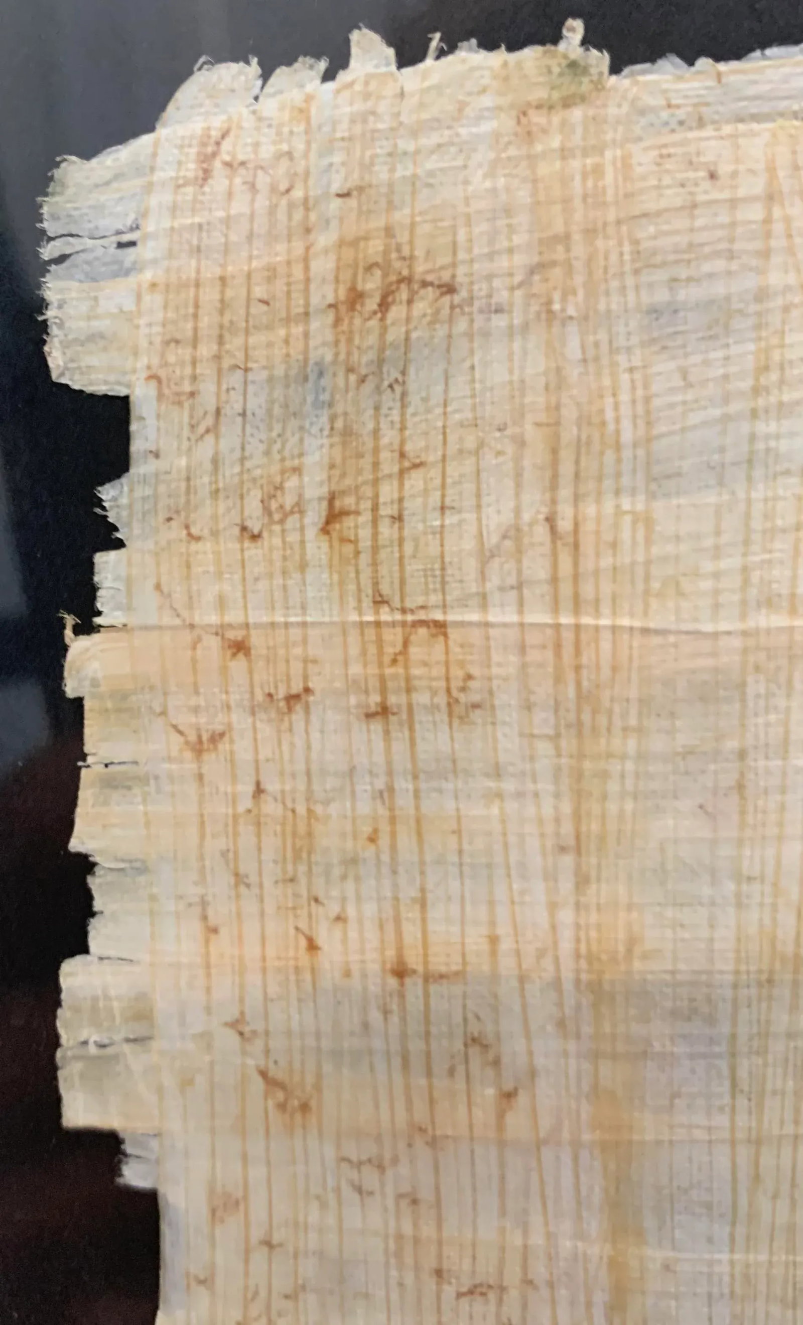 Vintage Egyptian Papyrus Painting - 5