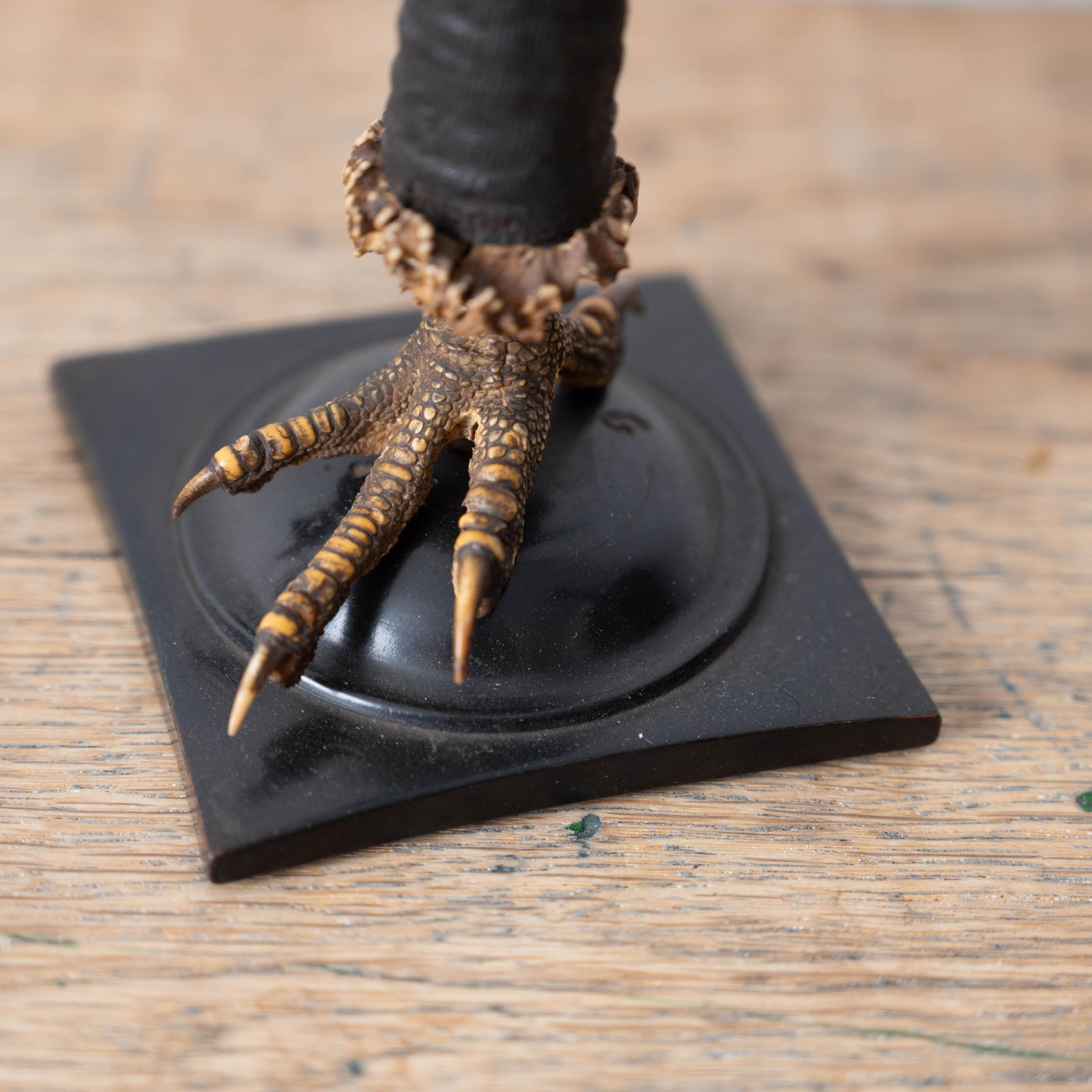 Black Forest Claw & Horn Desk Set and Candle Holders, 19th Century - 7