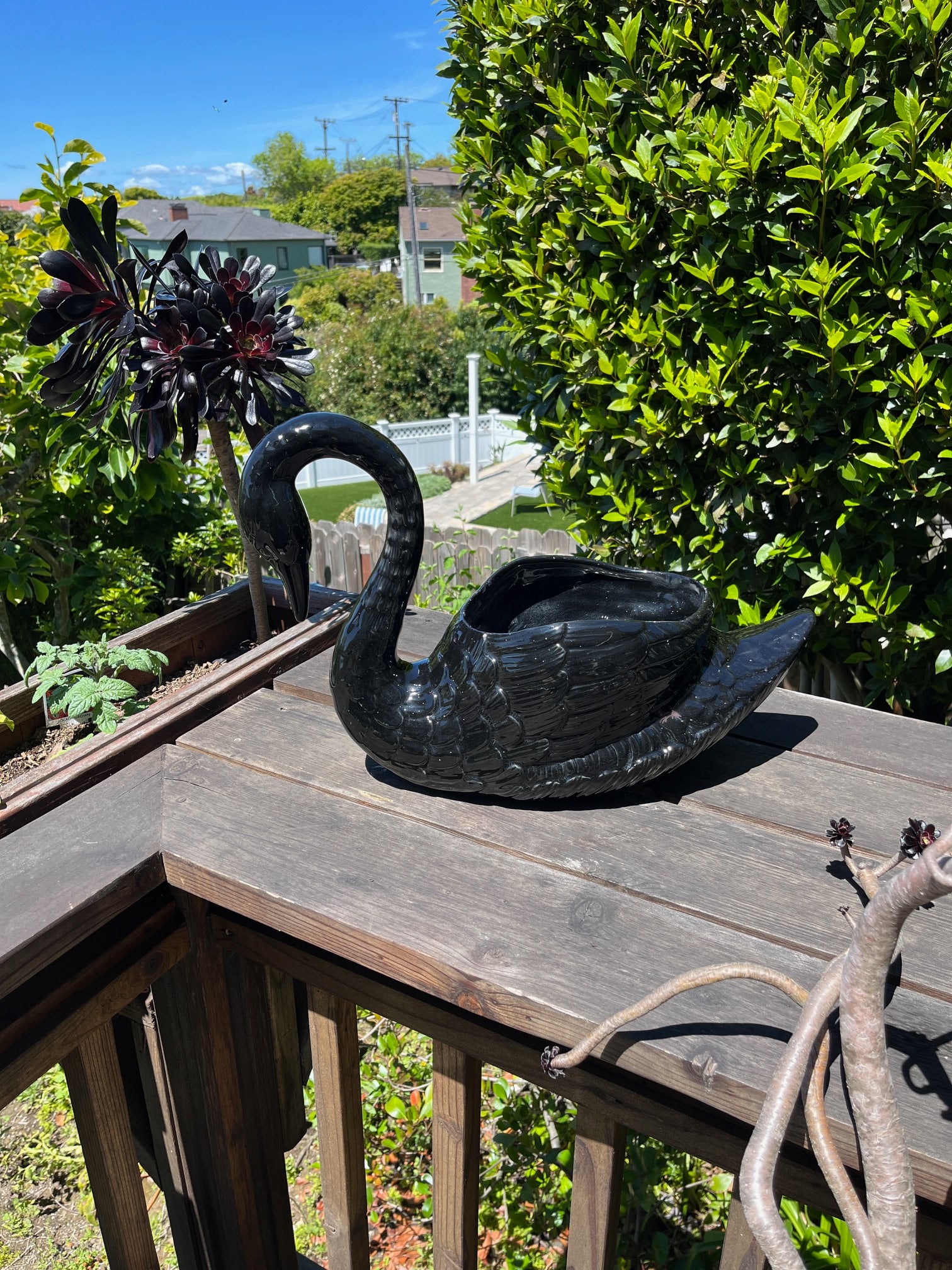 Vintage Black Ceramic Swan Planter - MCM Statement Piece - 4