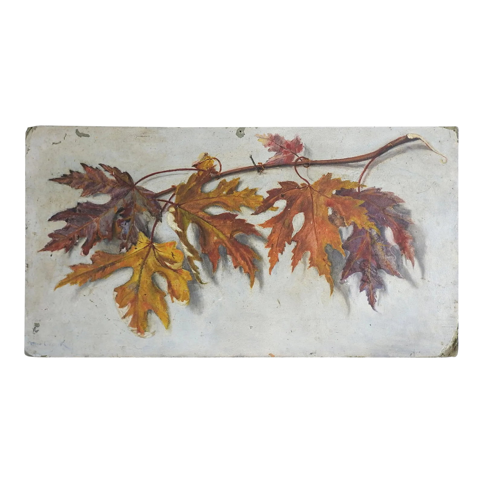 Antique Oak Leaves Painting: Antique oil on artist board painting of oak leaves. Signed illegibly lower left corner. Unframed, considerable corner wear, scattered small spots of paint loss. Condition: Alterations: Original Condit