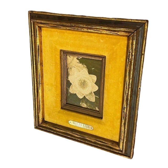 1980s Still Life Floral "Water Lily" Oil on Board by James Pasqual Bettio - 3