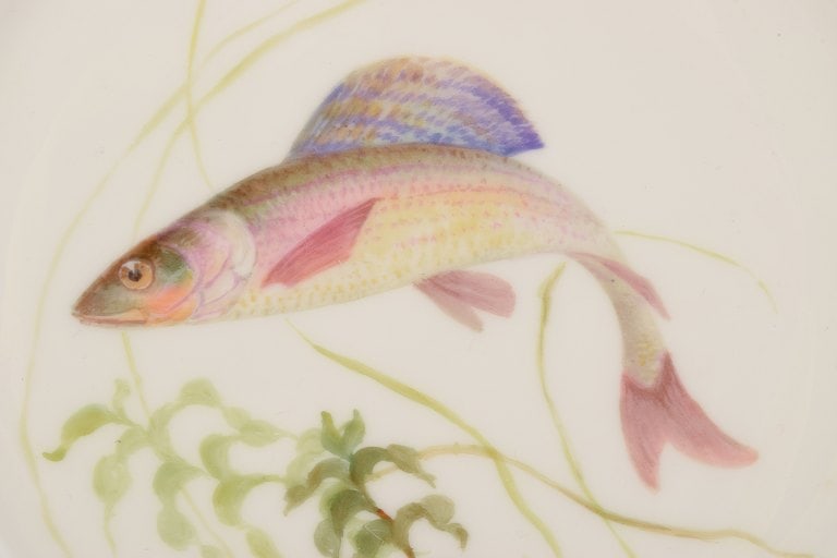 Royal Copenhagen Fauna Danica fish plate. Hand-painted fish motif with gold decoration. - 4
