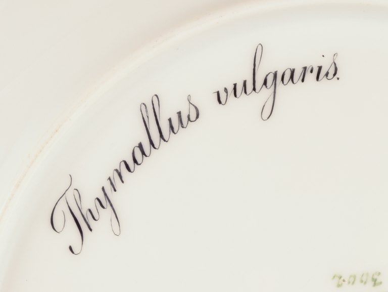 Royal Copenhagen Fauna Danica fish plate. Hand-painted fish motif with gold decoration. - 9