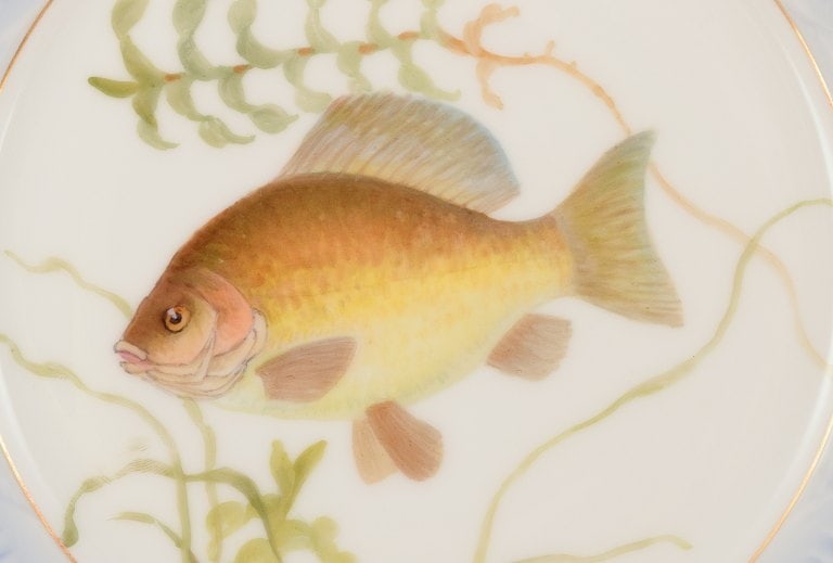 Royal Copenhagen Fauna Danica fish plate. Hand-painted fish motif with gold decoration. - 4