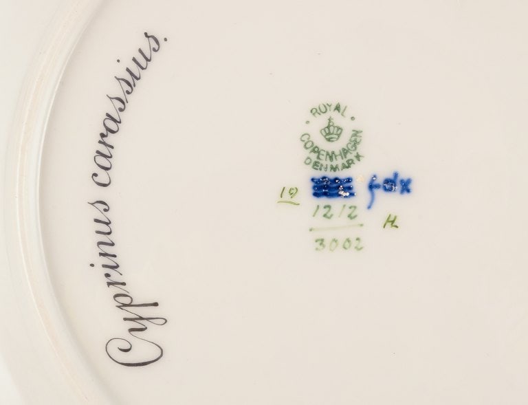 Royal Copenhagen Fauna Danica fish plate. Hand-painted fish motif with gold decoration. - 8