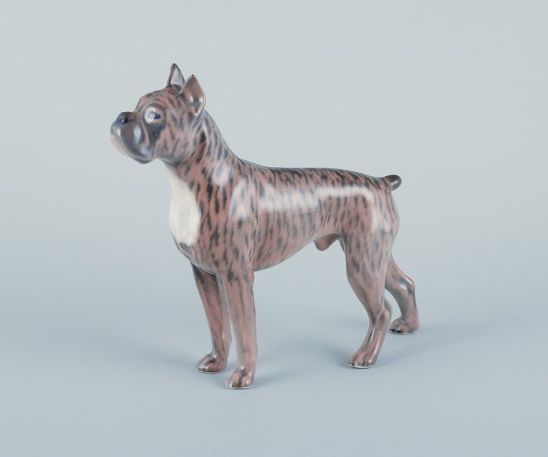 Royal Copenhagen, porcelain dog, standing boxer. - 3