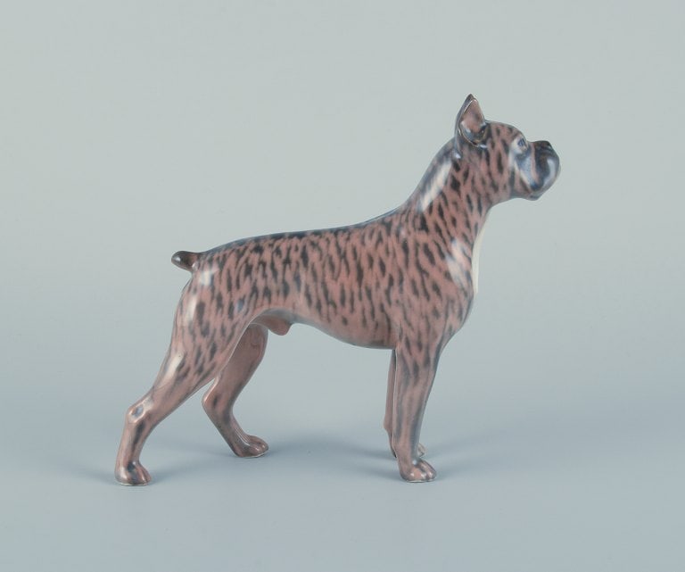 Royal Copenhagen, porcelain dog, standing boxer. - 6