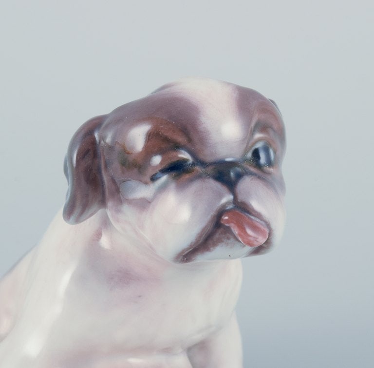 Dahl Jensen, porcelain figurine of a Pekingese puppy. - 6