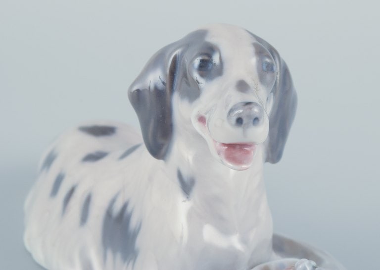 Royal Copenhagen, porcelain figurine of a setter with pheasant. - 6