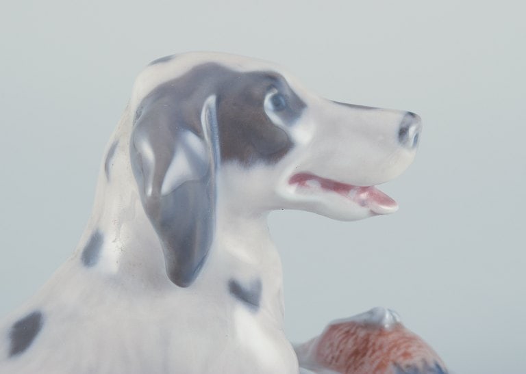 Royal Copenhagen, porcelain figurine of a setter with pheasant. - 7