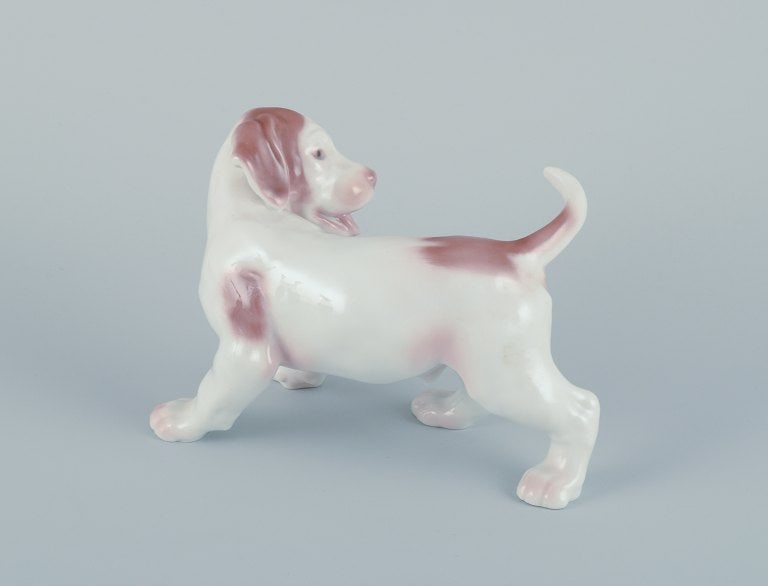 Bing & Grøndahl, porcelain figurine of a pointer puppy. - 4