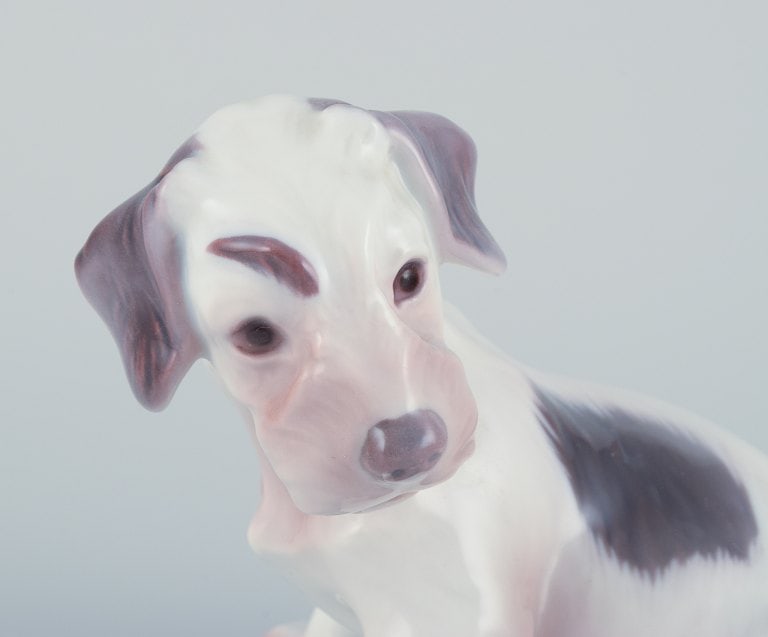 Bing & Grøndahl, porcelain figurine of a Sealyham Terrier puppy. - 6