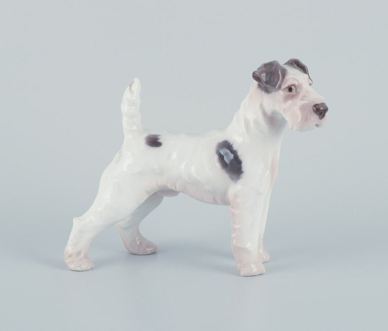 Bing & Grøndahl, porcelain figurine of a Wire Fox Terrier. - 2
