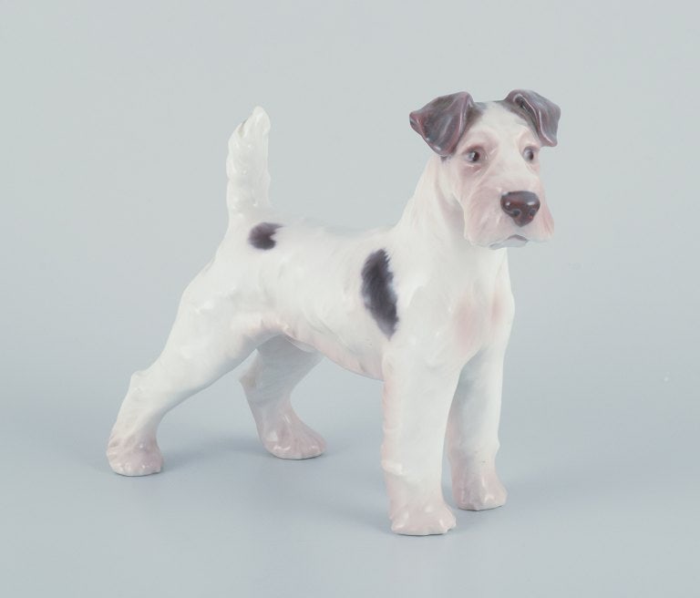 Bing & Grøndahl, porcelain figurine of a Wire Fox Terrier. - 3
