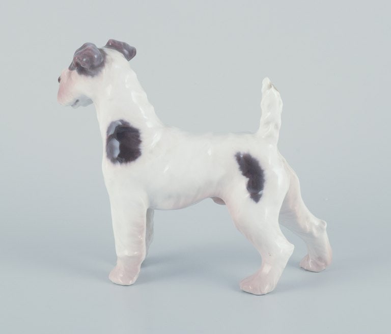 Bing & Grøndahl, porcelain figurine of a Wire Fox Terrier. - 4