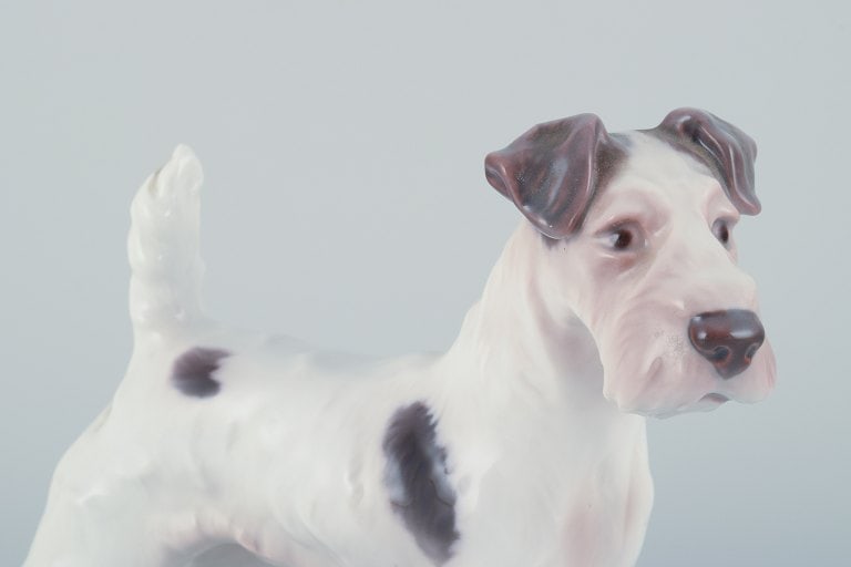 Bing & Grøndahl, porcelain figurine of a Wire Fox Terrier. - 5
