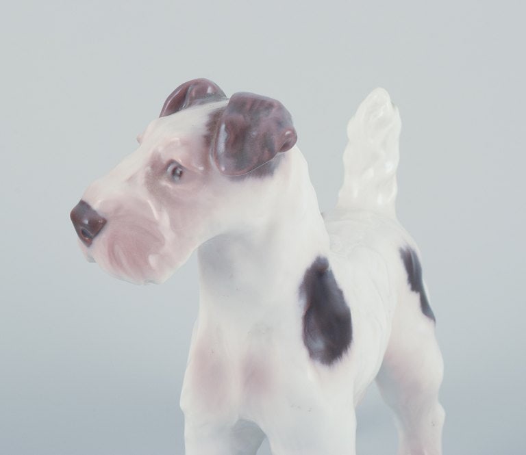 Bing & Grøndahl, porcelain figurine of a Wire Fox Terrier. - 6