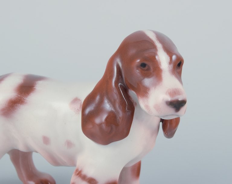 Bing & Grøndahl, porcelain figurine of a Cocker Spaniel. - 3