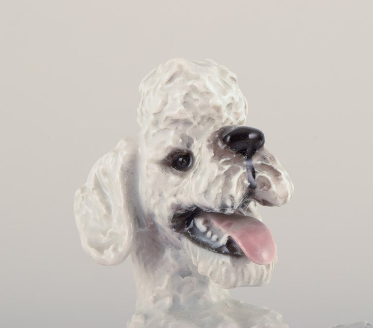 Fritz Heidenreich for Rosenthal, Germany, large standing porcelain poodle. - 8