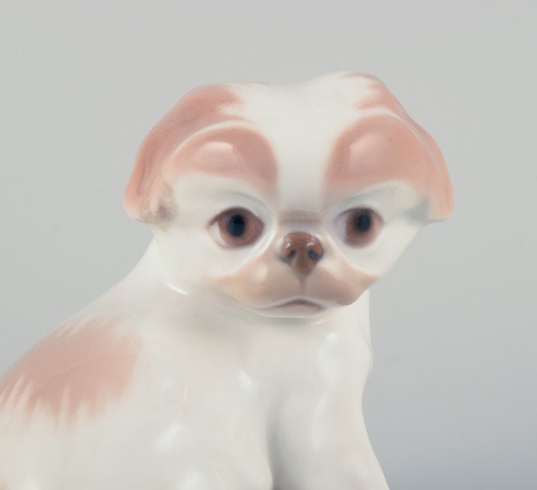 Dahl Jensen for Bing & Grøndahl, porcelain figurine of a Pekingese puppy. - 4