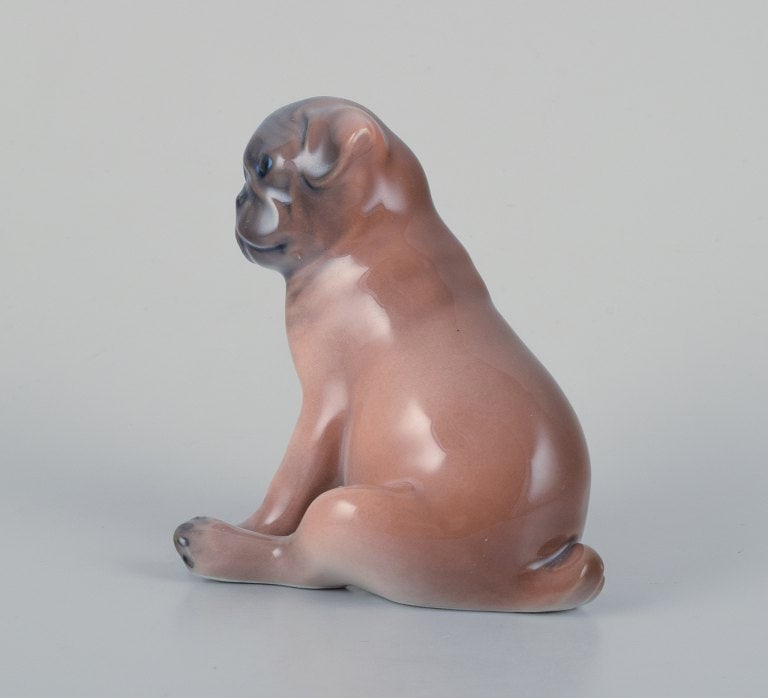 Royal Copenhagen, porcelain figurine of a boxer puppy. - 3